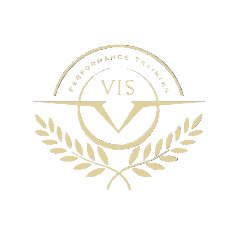 VIS Logo
